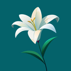 Elegant and Fresh Minimalist Lily Vector Art Illustration