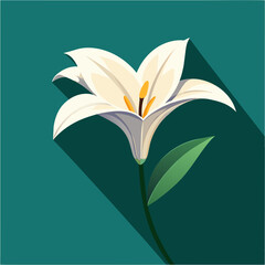 Elegant and Fresh Minimalist Lily Vector Art Illustration