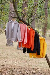 Several multicolored hoodies hang on hangers in a tree.