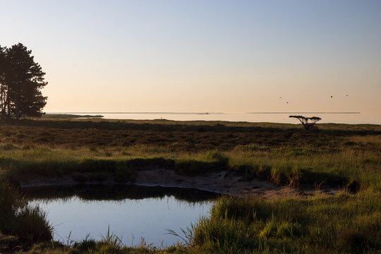 Salt marh at the beautiful Bovet Bugt, L&aelig;s&oslash;, Denmark	