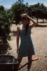 Obraz premium A young woman in a blue dress shields her eyes from the sun while standing in an orchard