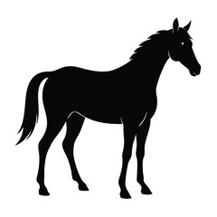 silhouette Horse vector illustration isolated on white background