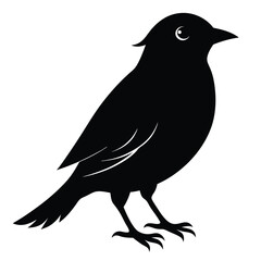 bird-silhouette-isolated-on-a-white-background (1).eps