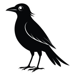 Silhouette bird vector illustration on white background