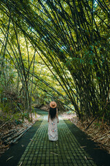 Young woman in a long dress is walking down the path inside lush bamboo forest in the Penglipuran village, Bali, Indonesia. 