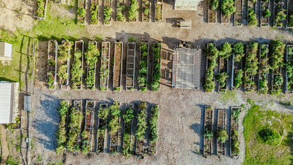 Covered pergola, greenhouse and row of wooden and metal raised beds, storage sheds at community...