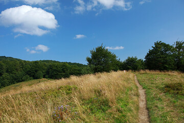 Fototapeta premium Mountain landscape near Okraglik Peak in Bieszczady Mountains, Poland