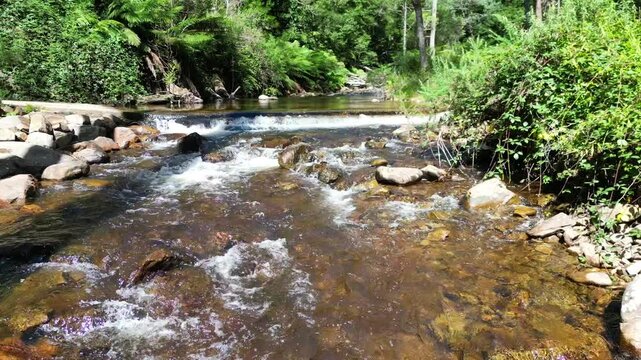 Serene Babbling Creek in Rubicon, Victoria, flows peacefully through the picturesque countryside.