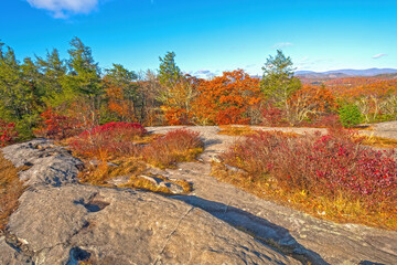 Obraz premium Autumn Colors on a Flat Rocky Ridge