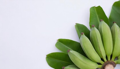 Fototapeta premium Banana isolated on white background
