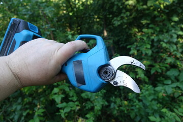 Pruning trees with electric pruning shears branch cutter automatic with battery to easyprune branches of trees. Gardening electric tool equipment.