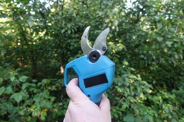 Pruning trees with electric pruning shears branch cutter automatic with battery to easyprune branches of trees. Gardening electric tool equipment.