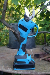 Pruning trees with electric pruning shears branch cutter automatic with battery to easyprune branches of trees. Gardening electric tool equipment.