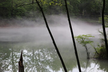 Fog over the water at the Blue Springs Heritage Center Eureka Springs Arkansas