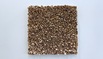 Natural texture of pistachio shells, decorative panel on the wall.