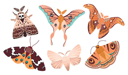Vector set of celestial moths isolated on white background.Colorful magic insects with floral and animal ornament.Mystic symbols and occult signs.Design for boho posters,magical cards,stickers.