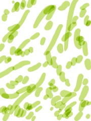 Иллюстрация без названия