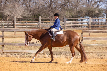 Women Equestrian riding in An english Saddle on Paint Horse hunter under saddle