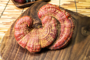 Close-up of a reishi medicinal mushroom (Ganoderma lucidum). This highly detailed polypore mushroom, also known as lingzhi, is used in traditional Chinese medicine.