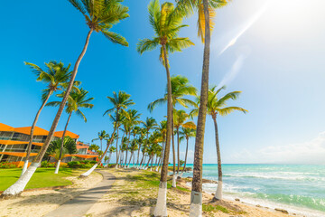 Palms and turquoise water in a tropical beach