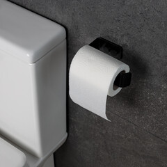 Black Toilet Paper Holder on Gray Wall