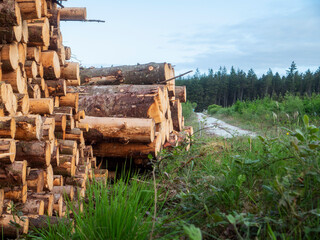 A large pile of wood logs is stacked on top of each other. The logs are brown and appear to be freshly cut. The scene is set against a backdrop of a cloudy sky. Raw material production industry