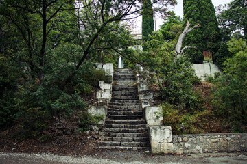 Scenic stairway to lush hilltop with trees and shrubs in the background