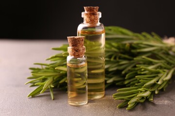 Essential oil in bottles and rosemary on grey table, closeup