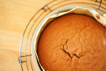 焼きたてのスポンジケーキをオーブンから取り出したところ
