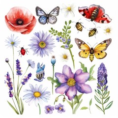 Images of wildflowers and insects in watercolor