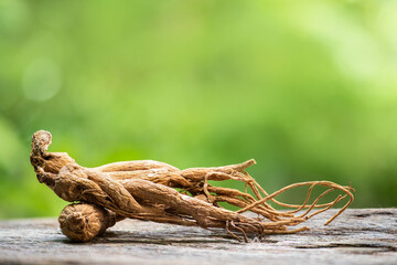 Ginseng or Panax ginseng dried roots on natural background.