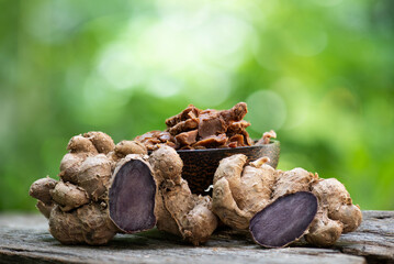 Black galingale rhizome and dried slices on nature background.