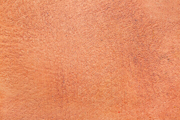 Closeup view of grunge coral texture