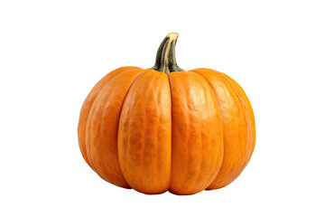 Pumpkin Isolated on Transparent & White Background | PNG File with Transparency