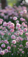 Fototapeta premium Prado de Primavera Cheio de Flores Silvestres em Flor