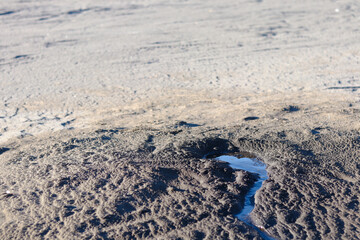 a spring that flows in the middle of the desert