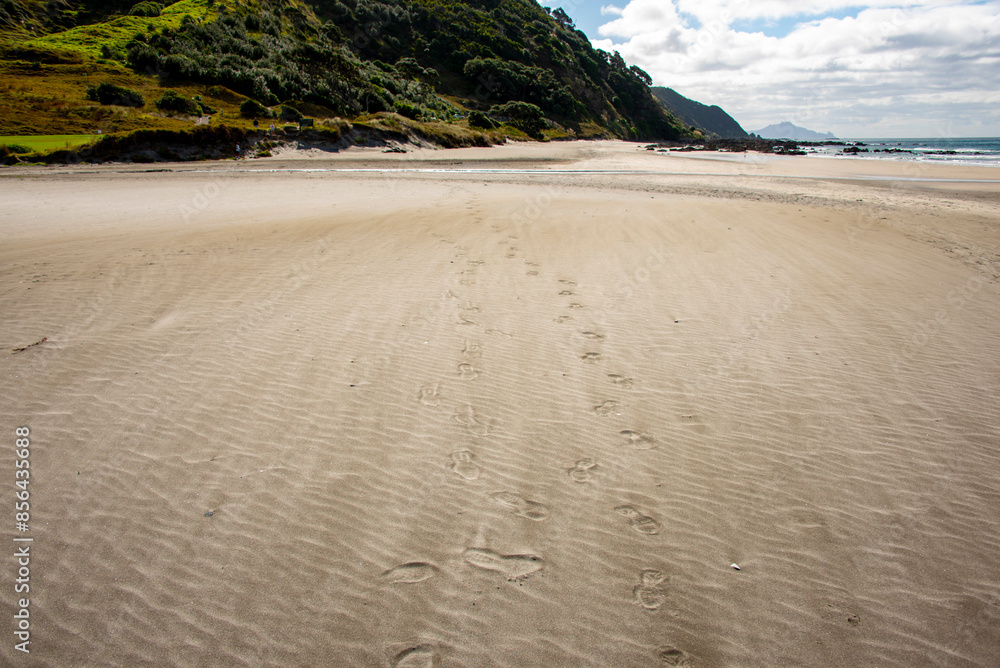 Poster mangawhai heads beach - new zealand