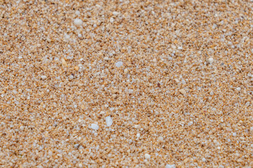 Shells and coral fragments in the sand，Sunset beach, Oahu's North Shore, Honolulu, Hawaii