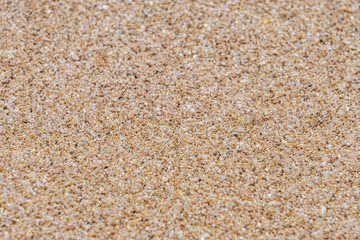 Shells and coral fragments in the sand，Sunset beach, Oahu's North Shore, Honolulu, Hawaii