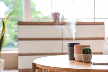 Air humidifier with candle and cactus on table in living room, closeup