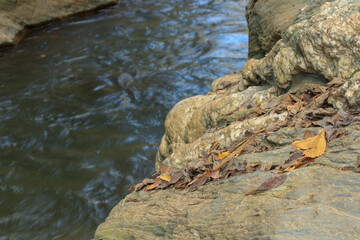 Rock mountain with river flowing below. Forest waterfall. Autumn nature landscape background.