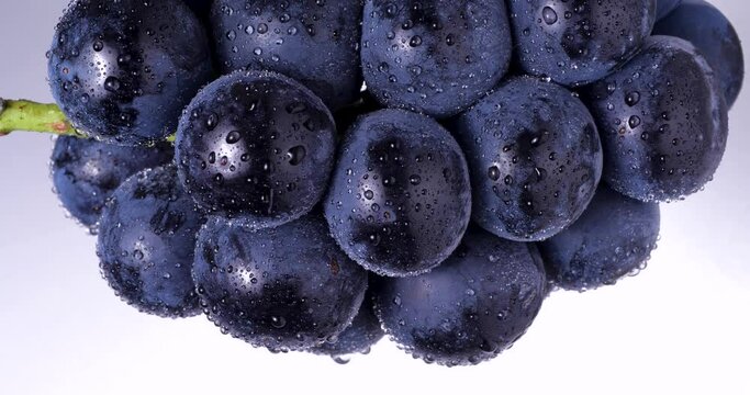 吊るしたナガノパープル(大粒ブドウ)を白背景でゆっくり回した4K動画