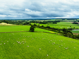 Farms and Fields over River Eden and River Eamont from a drone, Cumbria, England
