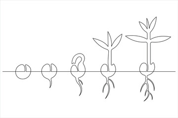 One continuous line drawing Plant growth process 