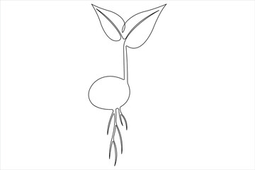 One continuous line drawing Plant growth process 