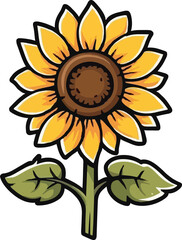 Sunflower Hand Drawn Illustration