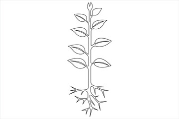 One continuous line drawing Plant growth process 