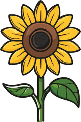 Sunflower Hand Drawn Illustration