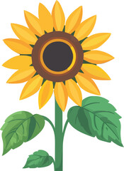 Fototapeta premium Sunflower Hand Drawn Illustration