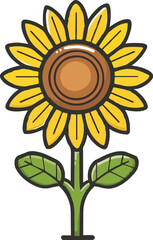 Sunflower Hand Drawn Illustration